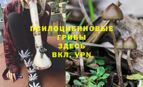тгк Михайловка