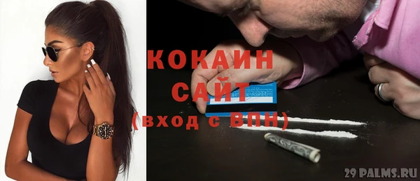 шишки Михайловск
