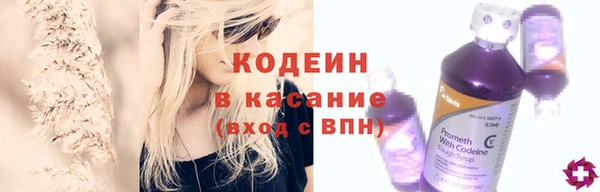 шишки Михайловск