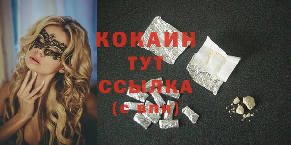 шишки Михайловск