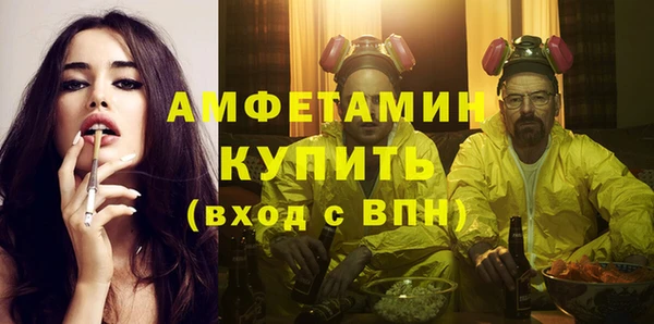 шишки Михайловск