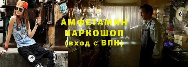 шишки Михайловск