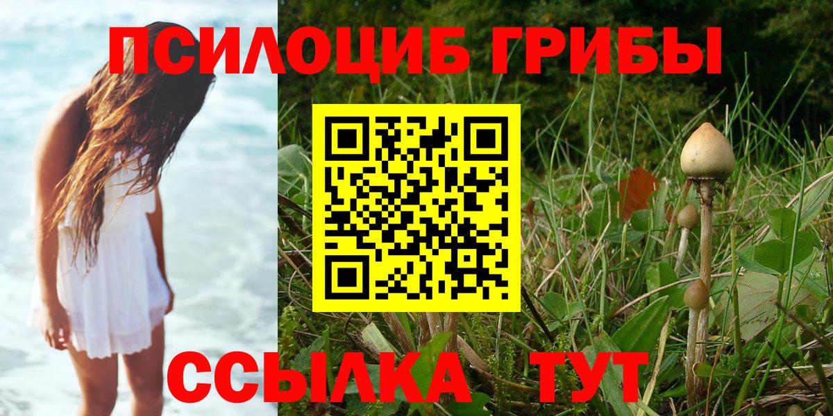 Галлюциногенные грибы GOLDEN TEACHER  Вход с VPN  Ногинск 