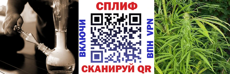 Шишки марихуана план  купить наркоту  MEGA как зайти  Ногинск 